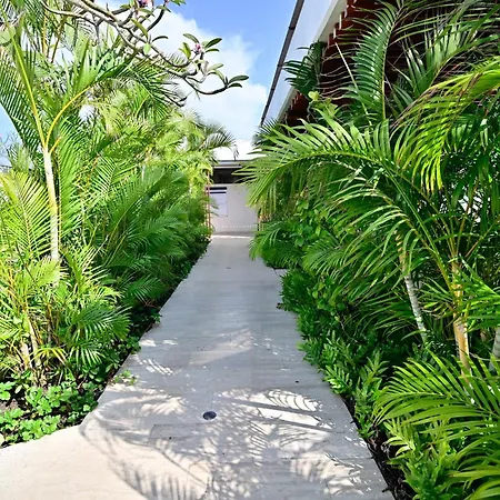 Luxury With Jacuzzi Lagoon View Near *